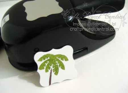 Use Chocolate Chip and Old Olive Stampin Write markers to color the trunk and leaves of the palm