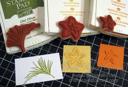 Step 4a Step 4b Step 4c Step 5 Use an Old Olive Classic Stampin Pad to stamp the leaf image from the Tropical Party stamp set