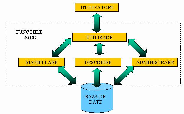 13 Baze de date funcţia de administrare administratorul este cel care realizează schema conceptuală a bazei de date, iar în perioada de exploatare a bazei de date autorizează accesul la date, reface