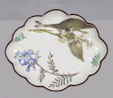 A rare Derby botanical lobed oval dish, from the Powis Dessert Service, finely painted in coloured enamels with Butterfly Orchis and Jacob s Ladder, within a brown line rim, 11 ½" wide,