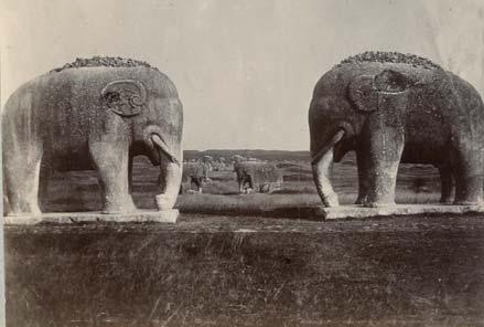 Elephant statues on Sacred Way Ming Tombs Nanking. 1900.