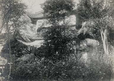 144 SHANGHAI. Jardin Chinois. 1904.
