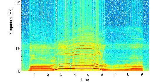 The Spectrogram spectrogram(y,1024,512,1024,fs,'yaxis'); A series of short term DFTs Typically just