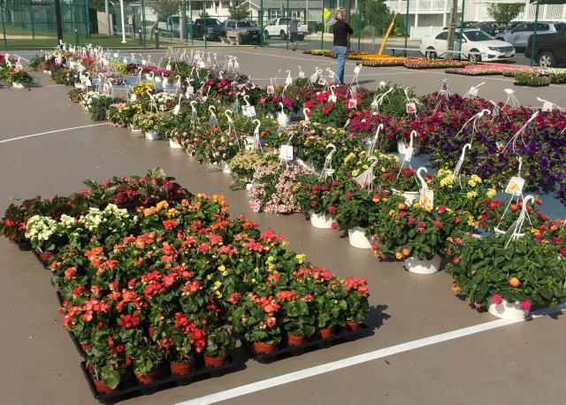 Garden Club s charities Shown preparing for the Flower Sale on May 19 are several