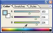 The title bar displays the image name as cat, the magnification as 100%, and shows that it is an 8-bit RGB image.