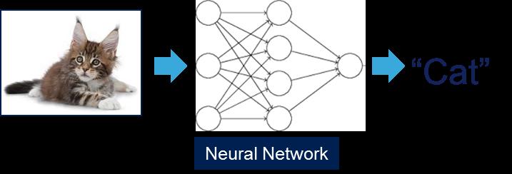 Models for input-output transfer function approximation inspired by biological neural networks.
