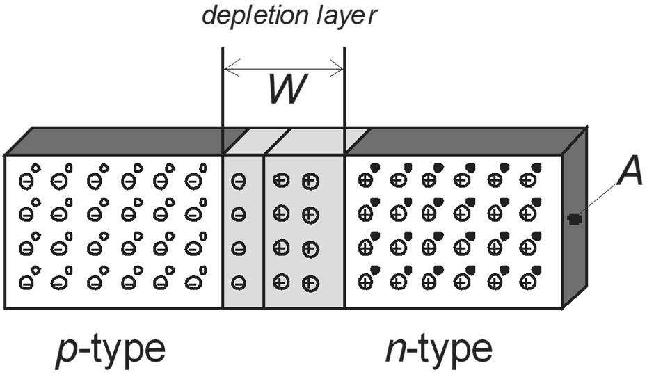 Diode capacitive behavior Areversed biased diode has two conducting regions separated by an insulating depletion region This structure resembles a capacitor Variations in the reverse bias voltage