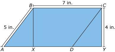 33. Natalie drew a figure consisting of parallelogram ABCD and rectangle BCYX. What is the area in square inches of parallelogram ABCD? A. 35 B. 28 C. 24 D. 16 34.