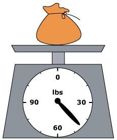 73. Nancy bought a bag of pebbles to put in her garden. She weighed the bag of pebbles on the scale shown below.