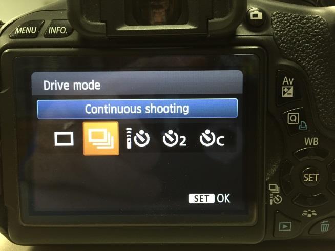 What should be the settings on the Canon cameras