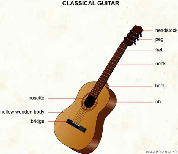 Guitar Structure & Terminology Before you begin to learn how to play guitar, it's important that you understand the anatomy of your guitar, so that you can identify different parts, while
