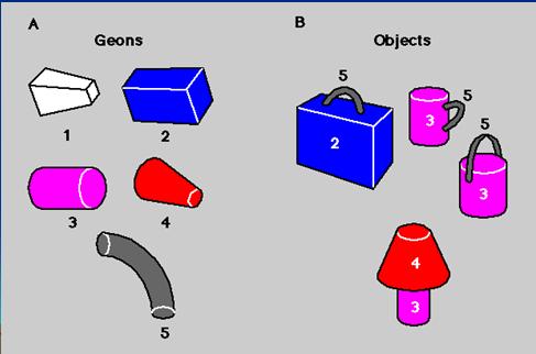 Perceptual parsing Detect and identify primary 3d objects or geons (Biederman, 1987)