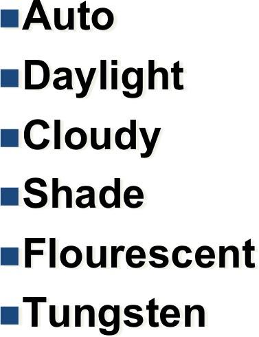 White Balance Auto Daylight Cloudy Shade Flourescen t