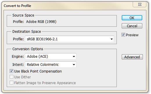 3. Changing to the srgb color space is recommended. Click on Edit > Convert to Profile. This will bring up something similar to the window shown below.