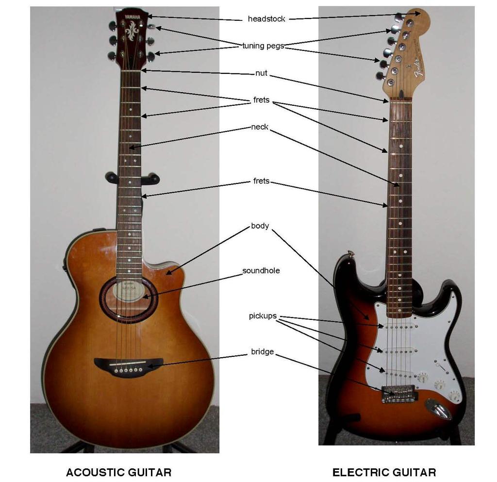 Parts of the Guitar: