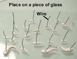 Before you bake them, place a piece of wire into the thickest part of each fish.