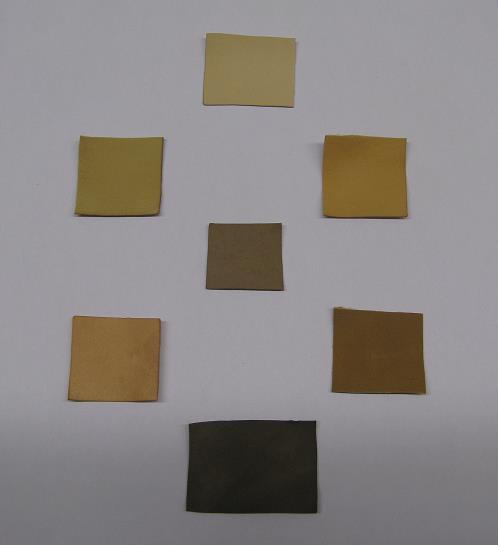 Enzymatic Coloring of Leather Colors palette - Wet-white base - tanned without chromium Natural