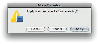 Martin Evening Adobe Photoshop CS5 for Photographers Copying a layer mask You can use the O A key to drag/ copy a layer mask across to another layer. Figure 9.18 The remove layer mask options.