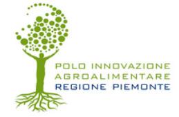 Innovation culture Piemonte