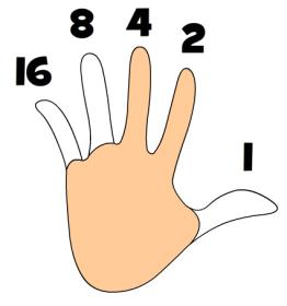 Binary Fingers! Forget about counting to 10 on your fingers... you can count past 1,000 if you want!