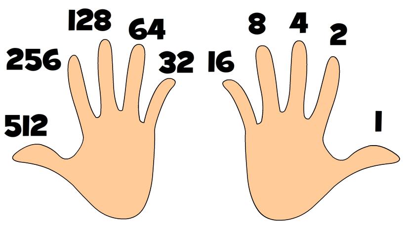 4 Add your thumb for 5 4 and 2 makes 6 4 and 2 and 1 makes 7 Fourth finger is 8 Task: Practice counting from 0 to 31 on your fingers, just
