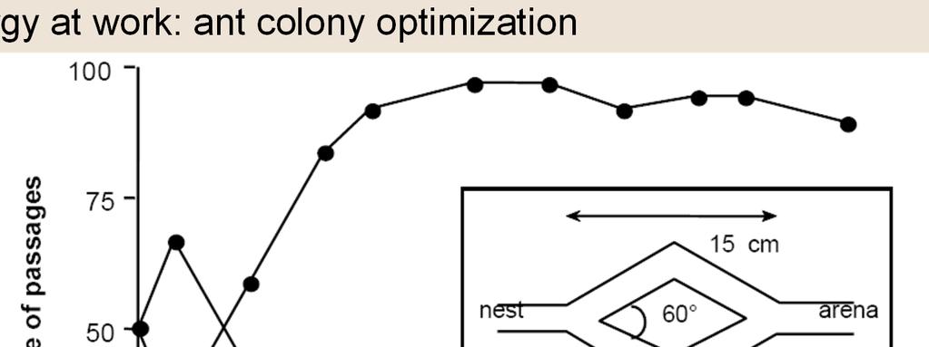 stigmergy at work: ant colony optimization foraging, routing, and optimization J.L. Deneubourg, S. Aron, S. Goss, J.M.