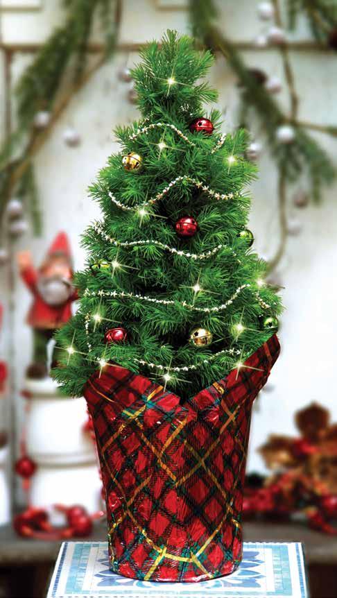 6 The Mini MERRY CHRISTMAS Tree SPIRIT OF THE HO Mini MERRY CHRISTMAS Tree This living, table top Christmas Tree is perfect for use where a full size tree is too large: Children s Rooms Home