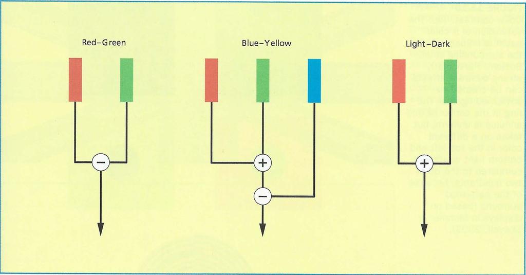 Opponent Color Theory Analog Computing Figure 12.