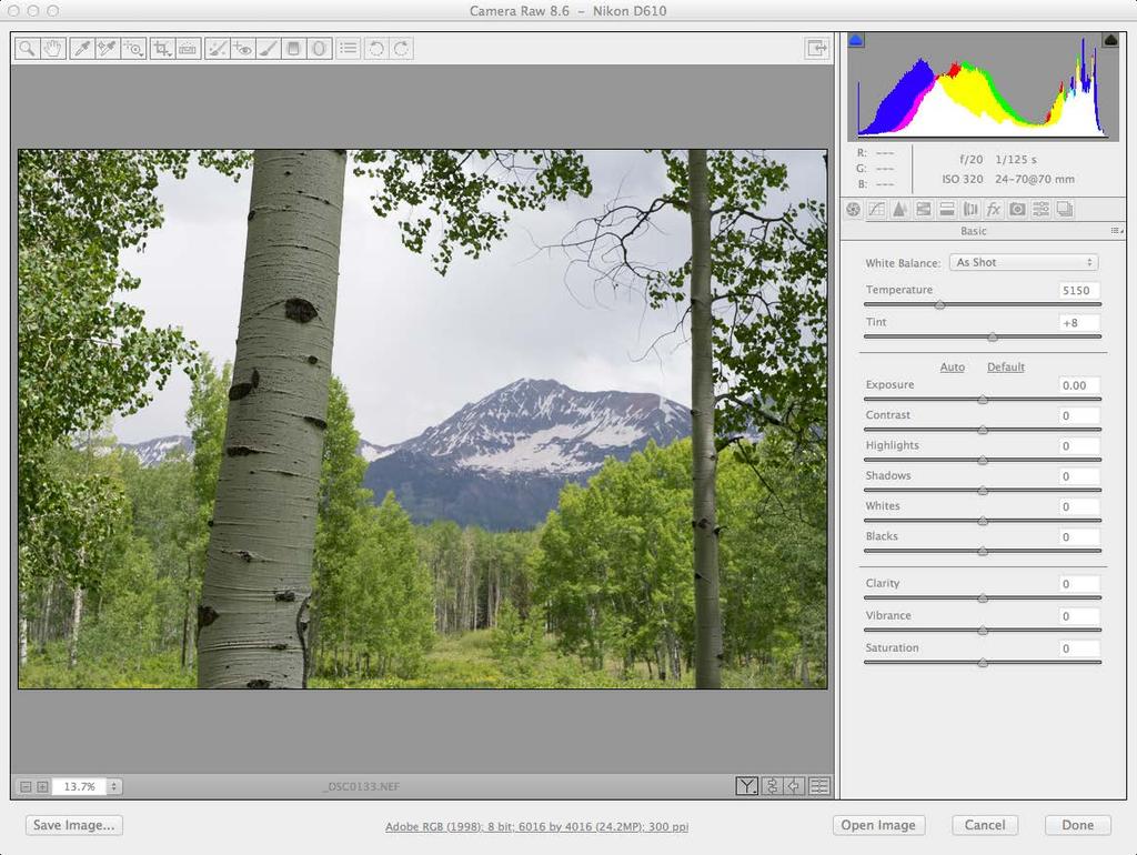 CO 3403: Photographic Communication Steps for Non-Destructive Image Adjustments in Photoshop Use the application Bridge to preview your images and open your files with Camera Raw Review the