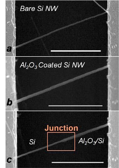 Figure S4 SEM images of a nanowire bridging the side walls of a 5μm microtrench at different stage of nanotube diode device frabrication. a. As-grown NW.