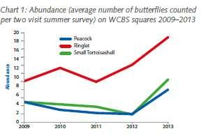 6 majority of butterflies fared better than in 2012, whilst 23 of 25 wider countryside species were seen in more squares than last year.