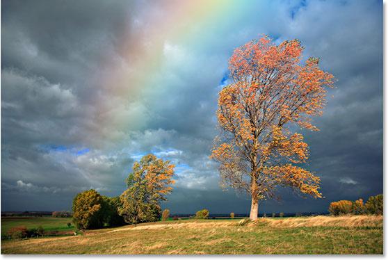 reaches higher into the sky: The rainbow now appears to start near the bottom of the trees on the left and get brighter as it gets higher in the sky.