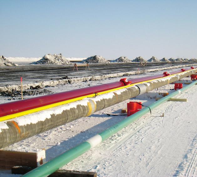 A comprehensive technical and economic study of the marine pipelines between the Shtokman Field and possible landfall sites near Murmansk was performed by INTECSEA.