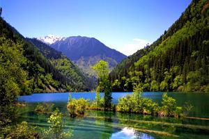 Day 13: Jiuzhai Valley National Park The park opens at 7:30, we will get our ticket ready 1 day before, so we do not need to wait in the long queue, we can take the first shuttle bus to reach to the
