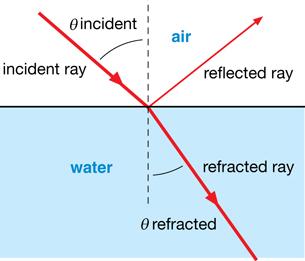 Law of Refraction The ratio of the sine of the angle of incidence to the sine of the angle of refraction is a constant (Snell s Law) The incidence ray and refracted ray are on opposite sides of the