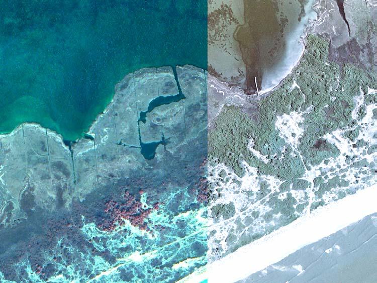 QuickBird Enhanced Spatial Resolution True Color Satellite Image (0.6 m) (Band 3, 2, 1 in RGB) Comparable Spatial Resolution True Color Orthophoto (0.