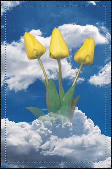 Blending the flowers with the background clouds 1. Click on the Flowers layer to select it. 2. Create a fill layer by going to LAYER NEW FILL LAYER SOLID COLOR.