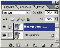 jpg Copy the Background layer by dragging it onto the Create a new layer button on the Layers palette.