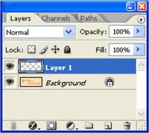 Transforming a selection or layer 1. Select the content you want to transform 2. Choose Edit > Free Transform 3. Transform the item by manipulating the transform handles 4.