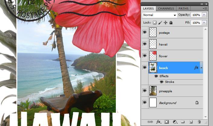 Background images, but under the Flower and Hawaii.