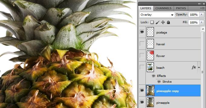 Click the eye icons next to the Hawaii, Flower, and Beach layers to hide them. 2. Right-click on the Pineapple layer and choose Duplicate Layer, then click OK.