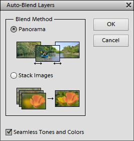 correctly positioned. Otherwise the result may not be as expected. The Auto-Blend Layers dialog offers two blend methods to select.