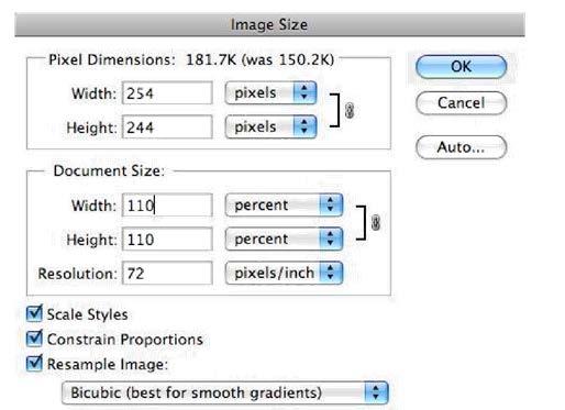 4.Change the Document Size measurements to Percent. Type in 110.