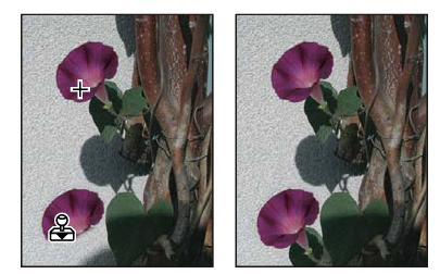 Clone Stamp tool The Clone Stamp tool paints one part of an image over another part of the same image or over another part of any open document that has the same color mode.