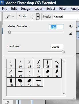 I selected Calligraphic brushes and chose a brush.