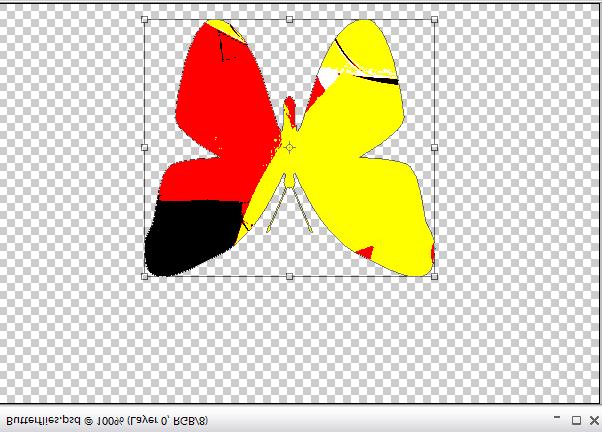 Create another butterfly looking like the one at the right. Drag and drop it into the other picture.