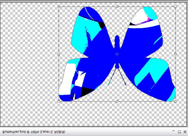 Create two more butterflies, one large and one small,