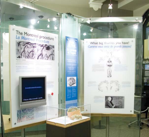 VITAL FLOW Feature Exhibit #3: Brain and Mind 5 Feature