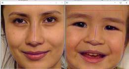 FIGURE 3 The face and facial landmarks of the father 4 Comparing faces Similarity measure in a data mining context is a distance with dimensions representing features of the objects.