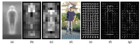 FIGURE 2 Features of Histogram oriented gradients Similar changes will appear only in large fragments of the image.